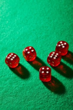 bomjudi game categories dashboard